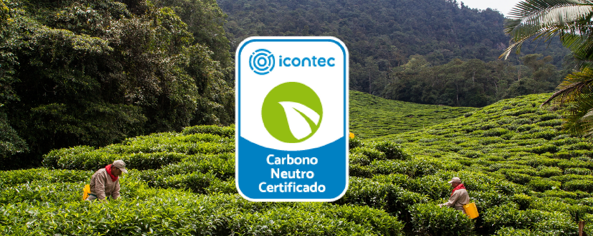 Agrícola Himalaya recibe certificación de ICONTEC de Carbono Neutro.
